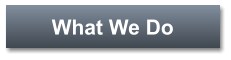 What We Do